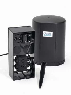 Jumping Jet - Rainbow Star (Art.Nr. X+50052) -Gartengrün -Pflanze 12 v master j 1280x1280