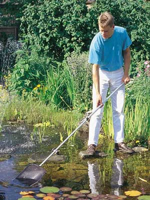 Algenkescher Klein (Art.Nr. 36298) 2 Algenkescher Klein (Art.Nr. 36298) – Bild 2