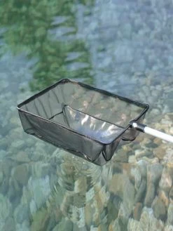 Algenkescher Klein (Art.Nr. 36298)