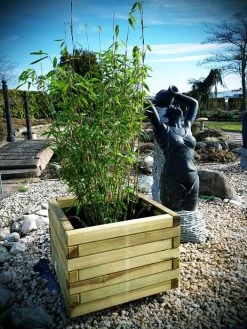 Holz-Pflanzkübel 5 Holz-Pflanzkübel -Gartengrün -Pflanze Bambus Jumbo Holz Pflanzkue 1280x1280