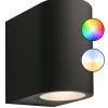 Smarter Wandstrahler 'Gilvus Schwarz Plus' Von Garden-Lights (Art.Nr. 3199011)