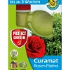 Bayer Curamat® Rosen-Pilzfrei