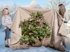 Vlies-Thermomantel, Uni Beige (Art.Nr. Vi36002) 8 Vlies-Thermomantel, Uni Beige (Art.Nr. Vi36002) -Gartengrün -Pflanze Wintervlies Thermomantel 3 1280x1280