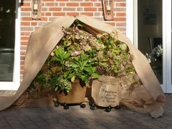 Vlies-Thermomantel, Uni Beige (Art.Nr. Vi36002) 11 Vlies-Thermomantel, Uni Beige (Art.Nr. Vi36002) -Gartengrün -Pflanze Wintervlies Thermomantel 5 1280x1280