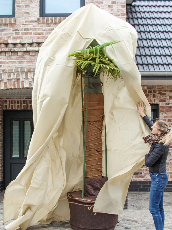 Winterschutz Palmen-Vlieshaube (Art.Nr. Vi29597) 1 Winterschutz Palmen-Vlieshaube (Art.Nr. Vi29597)