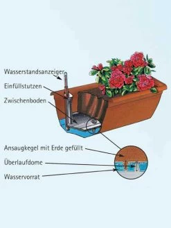 Blumenkasten Aqua Green 6 Blumenkasten Aqua Green -Gartengrün -Pflanze aquaandalucia detail 77365 1 77388 1 1280x1280 1