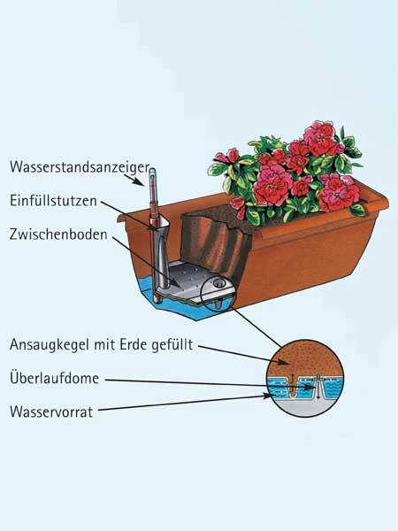 Blumenkasten Aqua Andalucia 3 Blumenkasten Aqua Andalucia – Bild 3