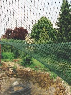 AquaNet Teichnetz Von OASE 7 AquaNet Teichnetz Von OASE -Gartengrün -Pflanze aquanet teichnetz2 77604 1 1280x1280