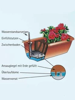 Blumenkasten Aqua Toscana 6 Blumenkasten Aqua Toscana -Gartengrün -Pflanze aquatoscana detail 77392 1 77398 1 1280x1280