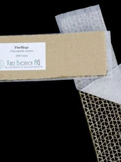 Florfliege (Art.Nr. KB4070) 5 Florfliege (Art.Nr. KB4070) -Gartengrün -Pflanze auslieferung florfliege 80530 2 1280x1280