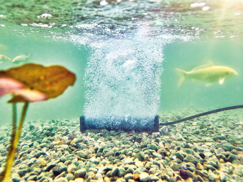 AquaOxy Belüfterstab L Von OASE (Art.Nr. 88669) 3 AquaOxy Belüfterstab L Von OASE (Art.Nr. 88669) – Bild 3