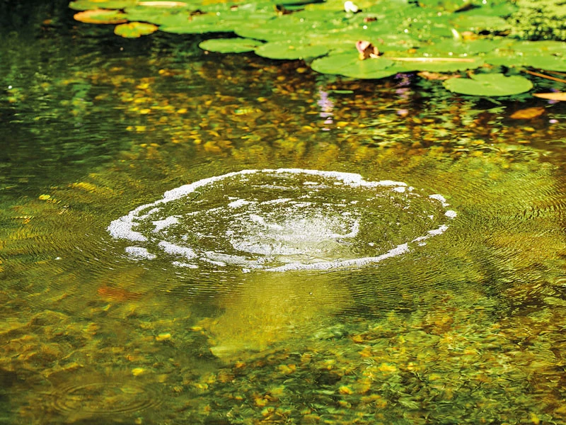 AquaOxy Belüfterstab L Von OASE (Art.Nr. 88669) 2 AquaOxy Belüfterstab L Von OASE (Art.Nr. 88669) – Bild 2