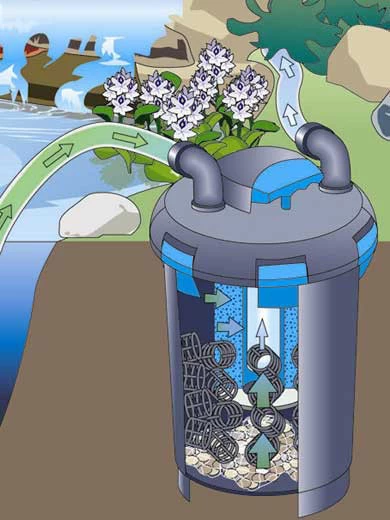 BioPress 6000 Set Von OASE (Art.Nr.50453) 2 BioPress 6000 Set Von OASE (Art.Nr.50453) – Bild 2