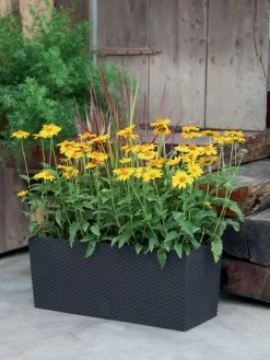 Blumenkasten Rato Case In Flechtoptik 6 Blumenkasten Rato Case In Flechtoptik -Gartengrün -Pflanze blumenkasten rato square be 1280x1280