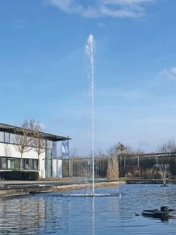 Cluster 15 - 38 Von OASE (Art.Nr. 45480) 7 Cluster 15 - 38 Von OASE (Art.Nr. 45480) -Gartengrün -Pflanze cluster 15 38 3 1280x1280