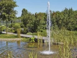 Cluster 15 - 38 Von OASE (Art.Nr. 45480) 6 Cluster 15 - 38 Von OASE (Art.Nr. 45480) -Gartengrün -Pflanze cluster 15 38 4 1280x1280