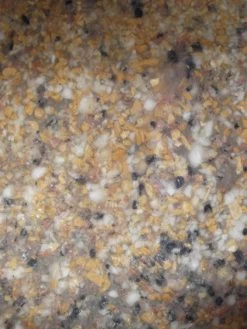 Bachlauf-Set 'Donau' (Art.Nr. 30120) 5 Bachlauf-Set 'Donau' (Art.Nr. 30120) -Gartengrün -Pflanze ems material 81137 2 1280x1280