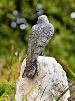 Bronzefigur Turmfalke (Art.Nr. 88462) -Gartengrün -Pflanze falke figur bronze 1280x1280
