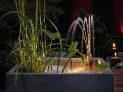 Filtral 3000 UVC Multifunktionsfilter Von OASE (Art.Nr. 70234) 8 Filtral 3000 UVC Multifunktionsfilter Von OASE (Art.Nr. 70234) -Gartengrün -Pflanze filtral 1500 magma 1280x1280