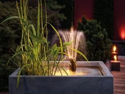 Filtral 3000 UVC Multifunktionsfilter Von OASE (Art.Nr. 70234) 7 Filtral 3000 UVC Multifunktionsfilter Von OASE (Art.Nr. 70234) -Gartengrün -Pflanze filtral 1500 vulkan 1280x1280