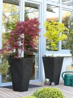 Pflanzkübel Geflecht-Dekor -Gartengrün -Pflanze flechtkuebel eckig hoch bep 1280x1280