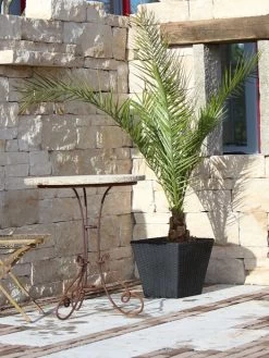 Pflanzkübel Geflecht-Dekor -Gartengrün -Pflanze flechtkuebel eckig niedrig57ebb4ed38d1b 1280x1280