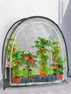 Foliengewächshaus "MARY`S" (Art.Nr. Vi26579)