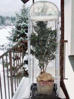 Frost-Schutzhaus SNOW (Art.Nr. V29933) -Gartengrün -Pflanze frost schutzhaus balkon 1280x1280