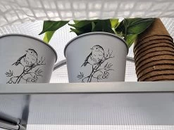 Frost-Schutzhaus SNOW (Art.Nr. V29933) -Gartengrün -Pflanze frost schutzhaus innen 1280x1280