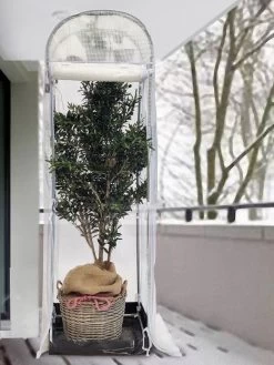 Frost-Schutzhaus SNOW (Art.Nr. V29933) -Gartengrün -Pflanze frost schutzhaus winter 1280x1280