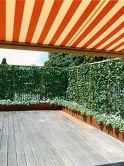 Hedera Helix 'Woerneri' - Immergrüner Efeu - XXL-Produkt -Gartengrün -Pflanze hecke und balkon j1 78685 4 1280x1280