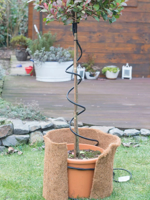 Frostschutz-Heizkabel Für Kübelpflanzen 1 Frostschutz-Heizkabel Für Kübelpflanzen