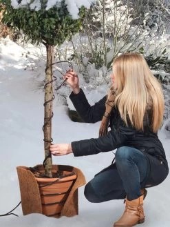 Frostschutz-Heizkabel Für Kübelpflanzen 5 Frostschutz-Heizkabel Für Kübelpflanzen -Gartengrün -Pflanze heizkabel frostschutz 1280x1280