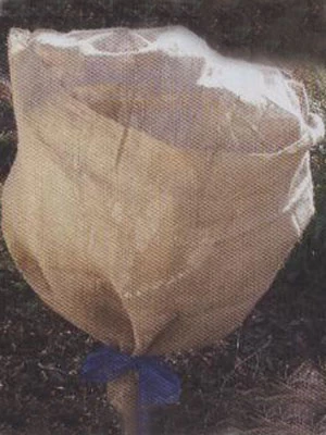 Schutzvlies Aus Jute (Art.Nr.594214) 1 Schutzvlies Aus Jute (Art.Nr.594214)