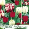 Kollektion Rote Und Weiße Tulpen (Art.Nr. 598210)