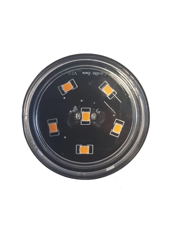 SMD LED-Einheit 6x Warm Weiss 12V 1W GU5.3 (Art.Nr. 6239011) 1 SMD LED-Einheit 6x Warm Weiss 12V 1W GU5.3 (Art.Nr. 6239011)
