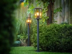 Gartenleuchte 'Limosa' Von Garden-Lights -Gartengrün -Pflanze limosa 6 1280x1280
