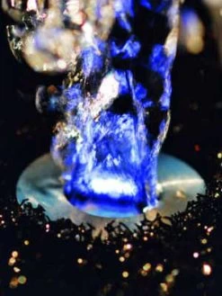 LunaLed 9s Von OASE (Art.Nr.50115) 6 LunaLed 9s Von OASE (Art.Nr.50115) -Gartengrün -Pflanze lunaled6s 2 75837 2 1280x1280