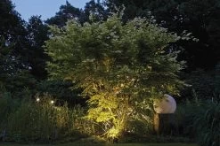 LunAqua Power LED Set 3 Von OASE (Art.Nr.42634) -Gartengrün -Pflanze lunaqua power led 956d5417c19c41 1280x1280