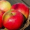 Apfel Idared