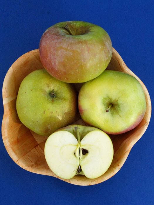 Apfel Ontario 2 Apfel Ontario – Bild 2