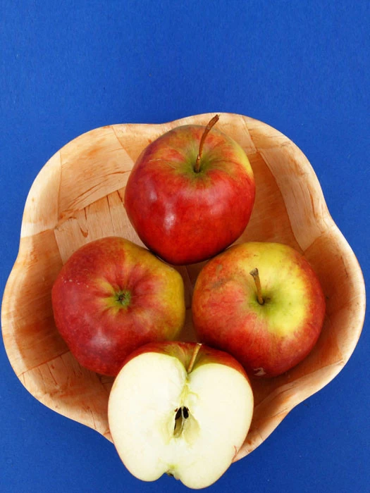 Apfel Rewena (S) 2 Apfel Rewena (S) – Bild 2