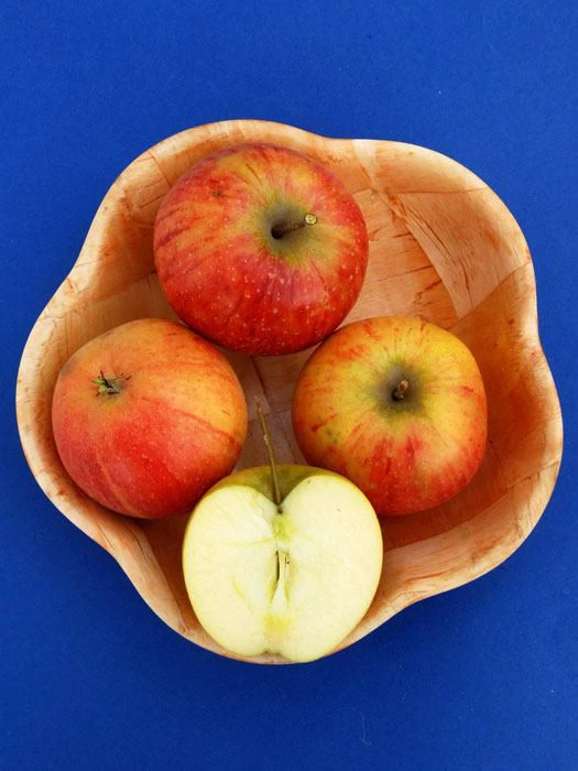 Apfel Rubinette 2 Apfel Rubinette – Bild 2