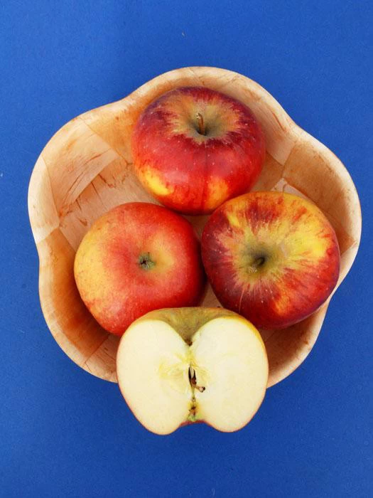 Apfel Topaz (S) 2 Apfel Topaz (S) – Bild 2