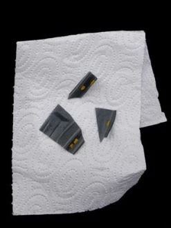 7-Punkt-Marienkäfer (Art.Nr. KB2016) 5 7-Punkt-Marienkäfer (Art.Nr. KB2016) -Gartengrün -Pflanze marienkaefer eier 80491 2 1280x1280