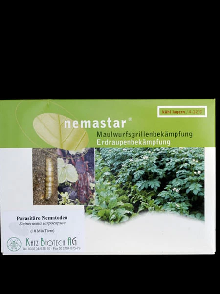 Maulwurfsgrillen-Nematode (Art.Nr. KB4166) 1 Maulwurfsgrillen-Nematode (Art.Nr. KB4166)