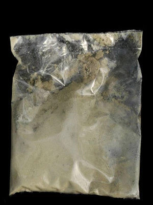 Maulwurfsgrillen-Nematode (Art.Nr. KB4166) 2 Maulwurfsgrillen-Nematode (Art.Nr. KB4166) – Bild 2