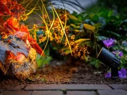 Garten-Spotstrahler 'Neso' Von Garden-Lights (Art.Nr. 2606061) 5 Garten-Spotstrahler 'Neso' Von Garden-Lights (Art.Nr. 2606061) -Gartengrün -Pflanze neso 3 1280x1280