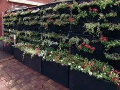 Overgrowing Mat Von Velda (Art.Nr.Vel127590) -Gartengrün -Pflanze overgrowing mat beispiel 1280x1280