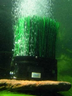 OxyTex 500 Set CWS Von OASE (Art.Nr. 57071) 5 OxyTex 500 Set CWS Von OASE (Art.Nr. 57071) -Gartengrün -Pflanze oxytex 2 1 75831 2 1280x1280